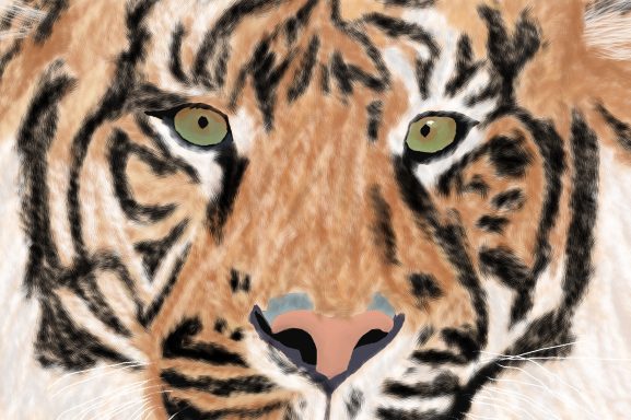 „Die Augen des Tigers“  